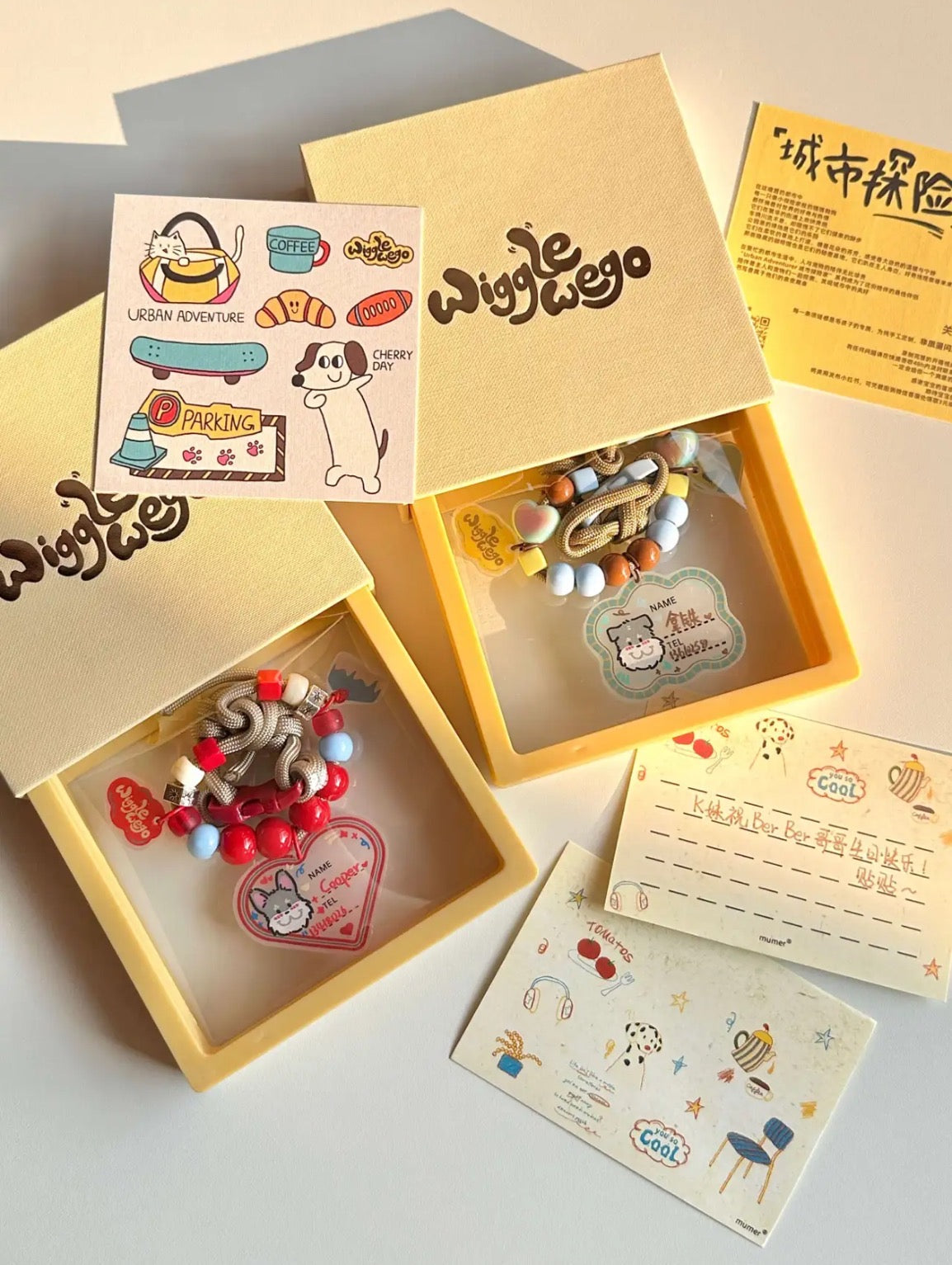 PawsCube - π"Custom Pet ID Necklace - City Series"
